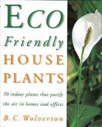 Sustainable Living: Eco Friendly House Plants