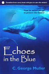 Research, Discussion, and Debate: Echoes in the Blue